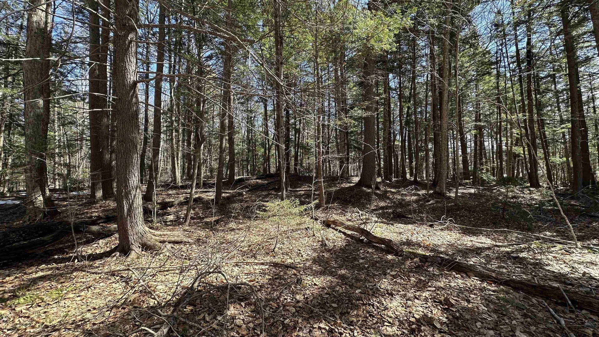 Valley Road Washington NH 03280