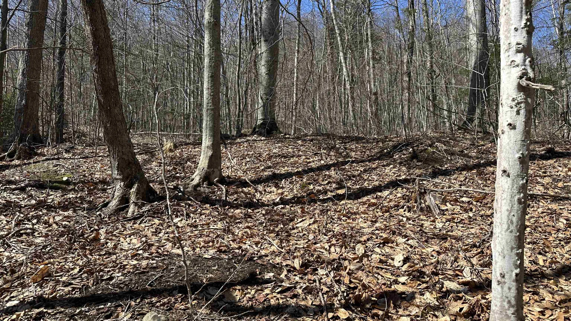 Valley Road Washington NH 03280