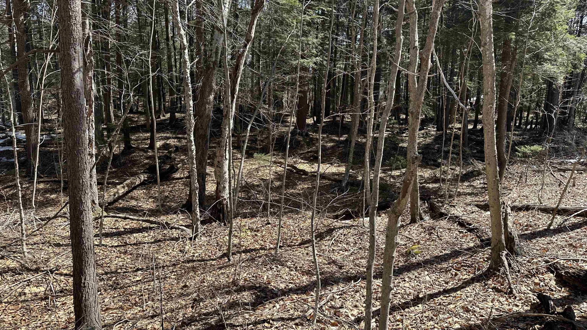 Valley Road Washington NH 03280