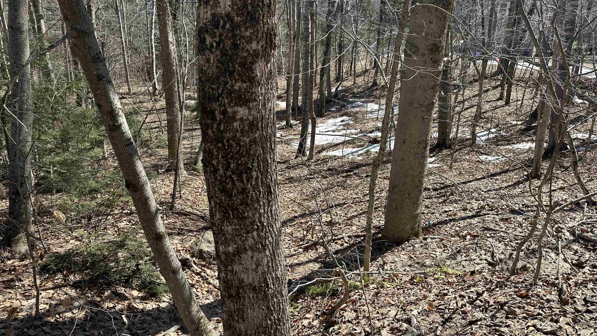 Valley Road Washington NH 03280