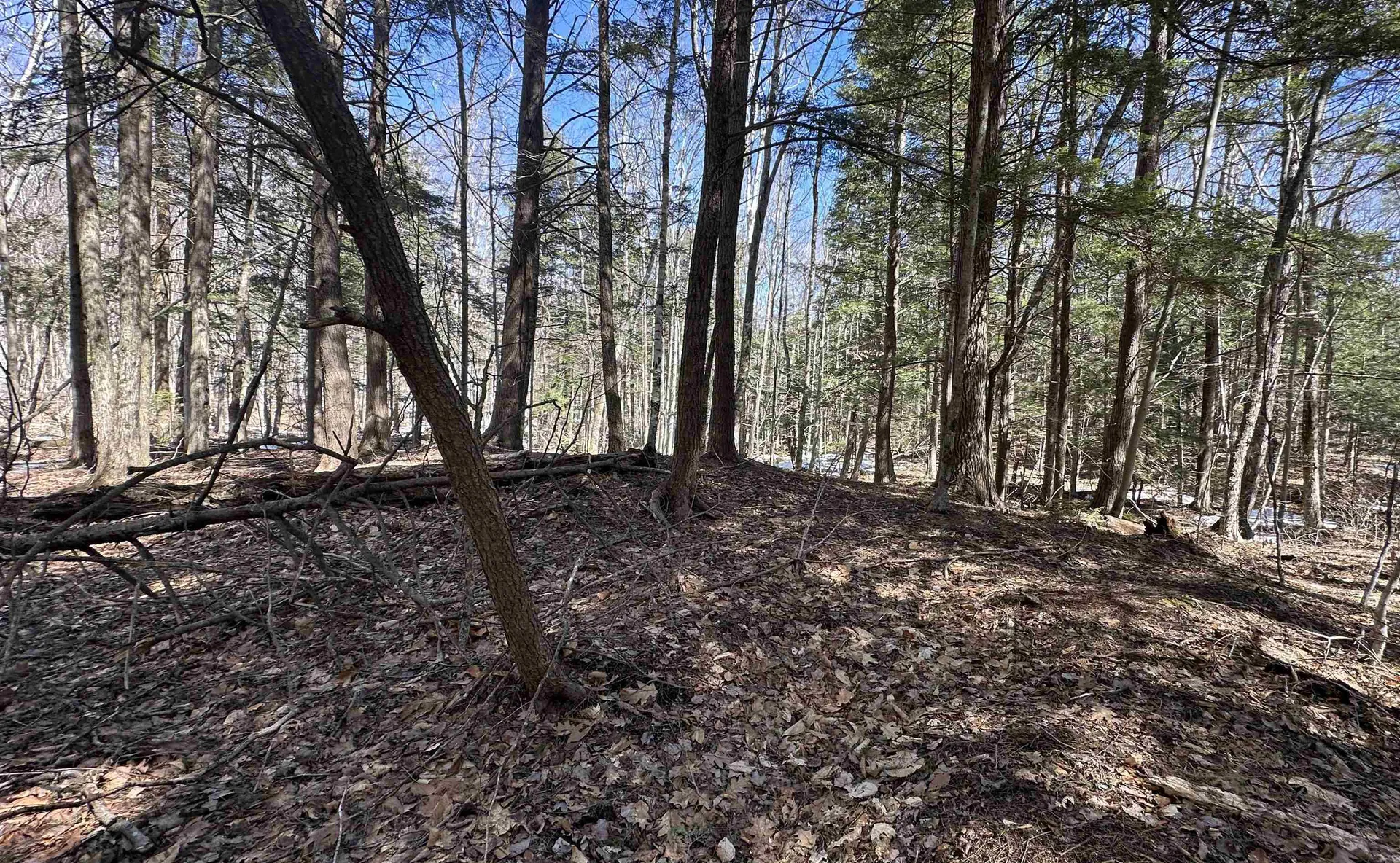 Valley Road Washington NH 03280