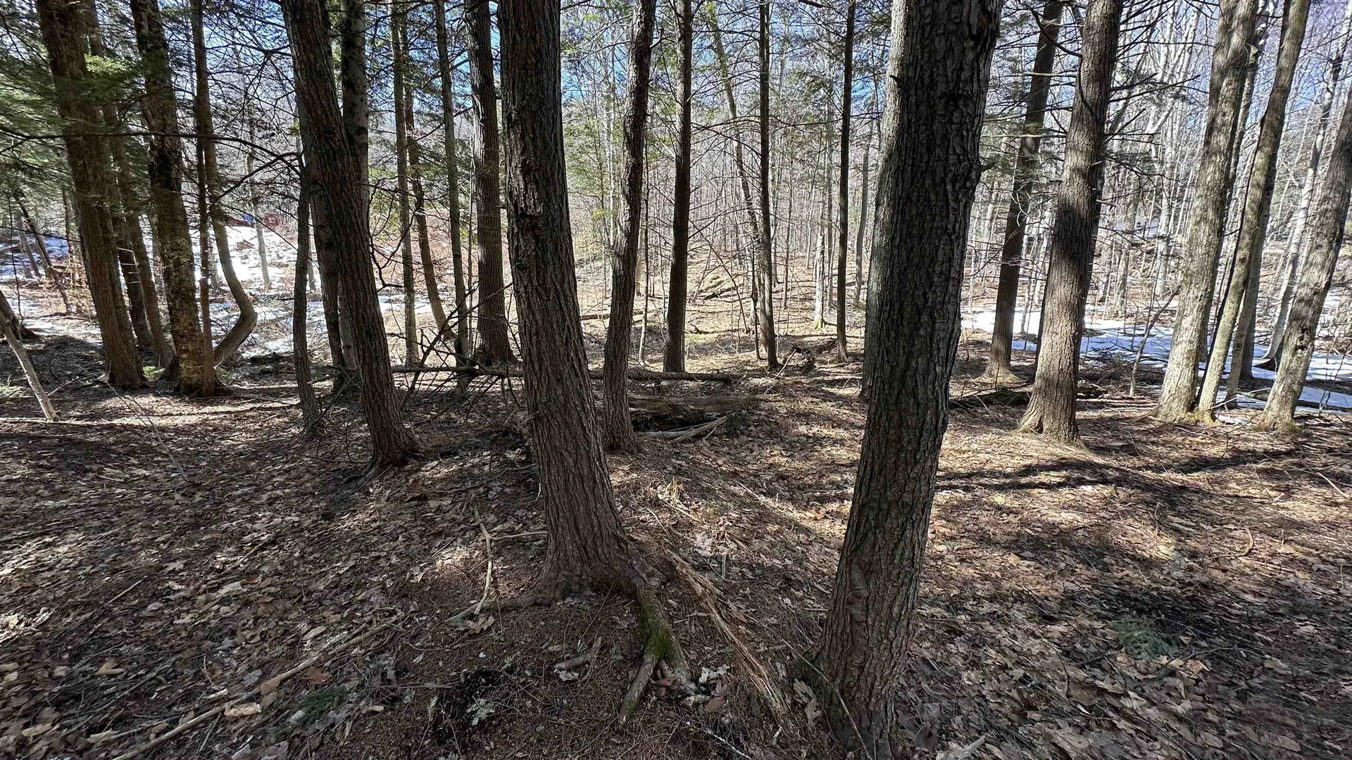 Valley Road Washington NH 03280