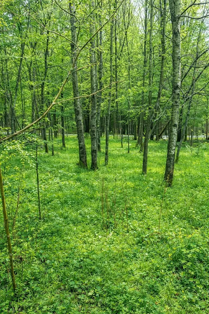 223 Deming Road Enosburg VT 05450