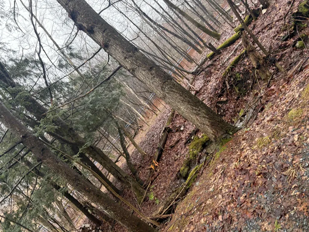 223 Deming Road Enosburg VT 05450