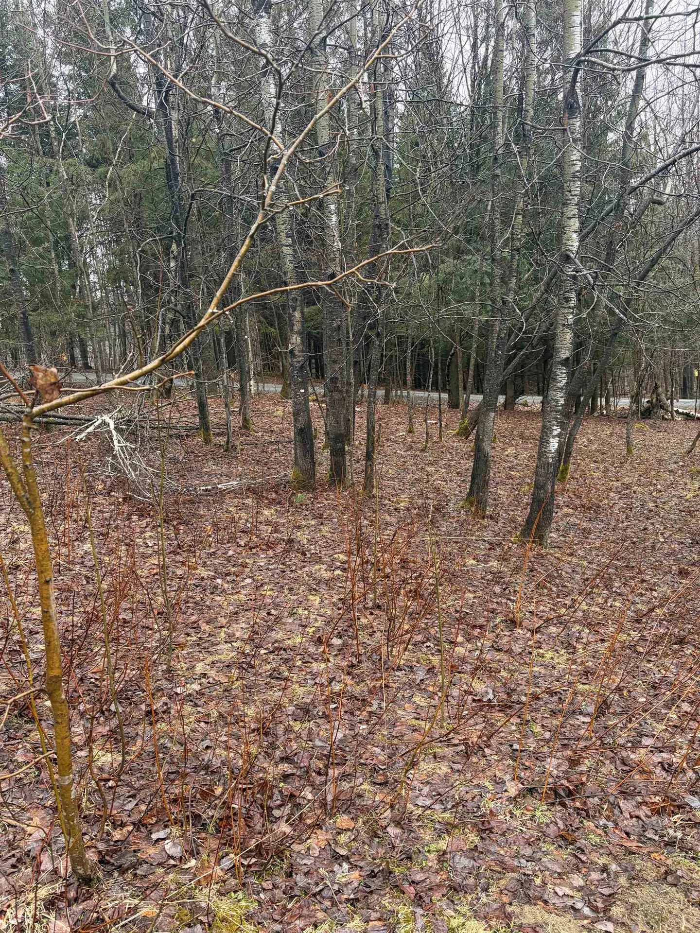 223 Deming Road Enosburg VT 05450