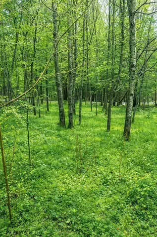 223 Deming Road Enosburg VT 05450