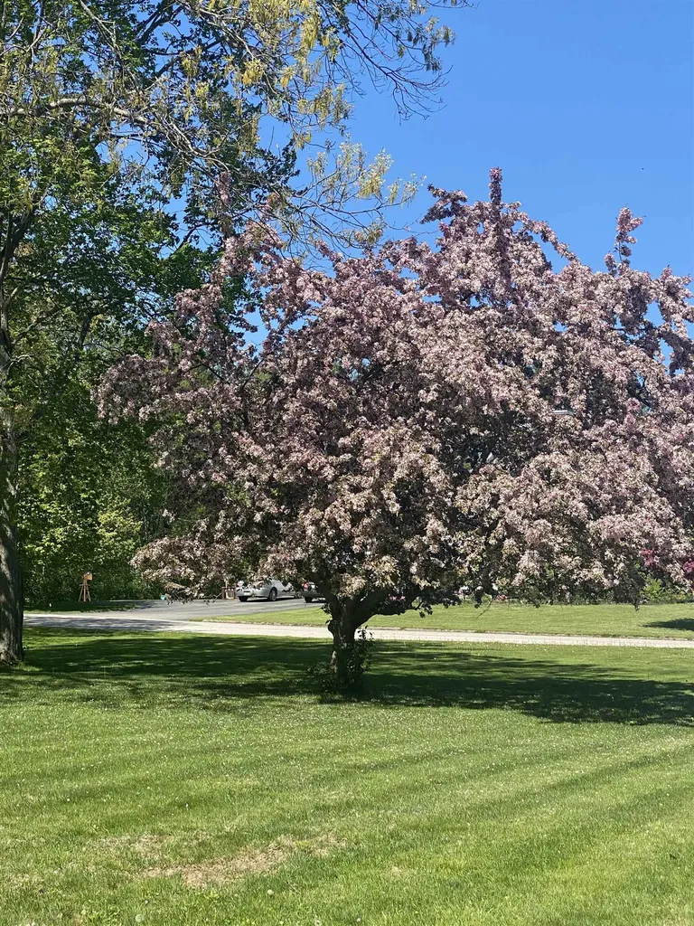 39 Isaac Lucas Circle Dover NH 03820