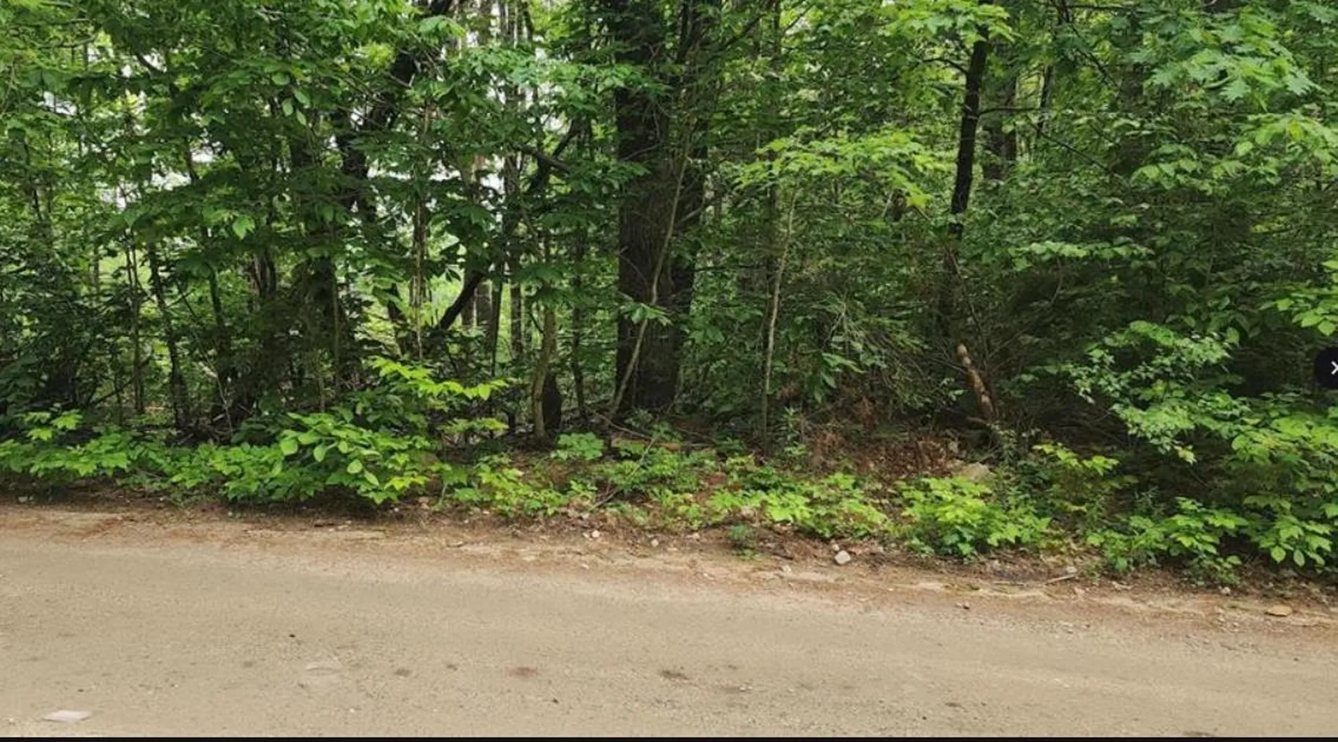 Pine Ridge Road Middleton NH 03887