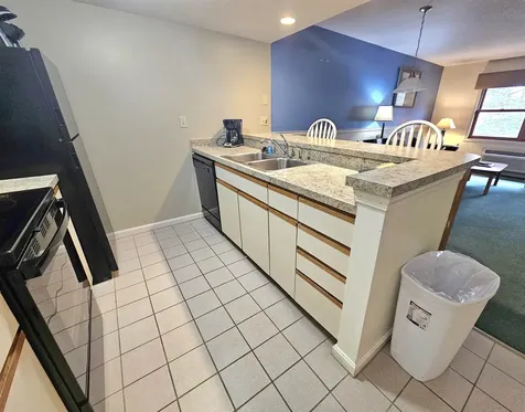 164 Deer Park Drive Woodstock NH 03262