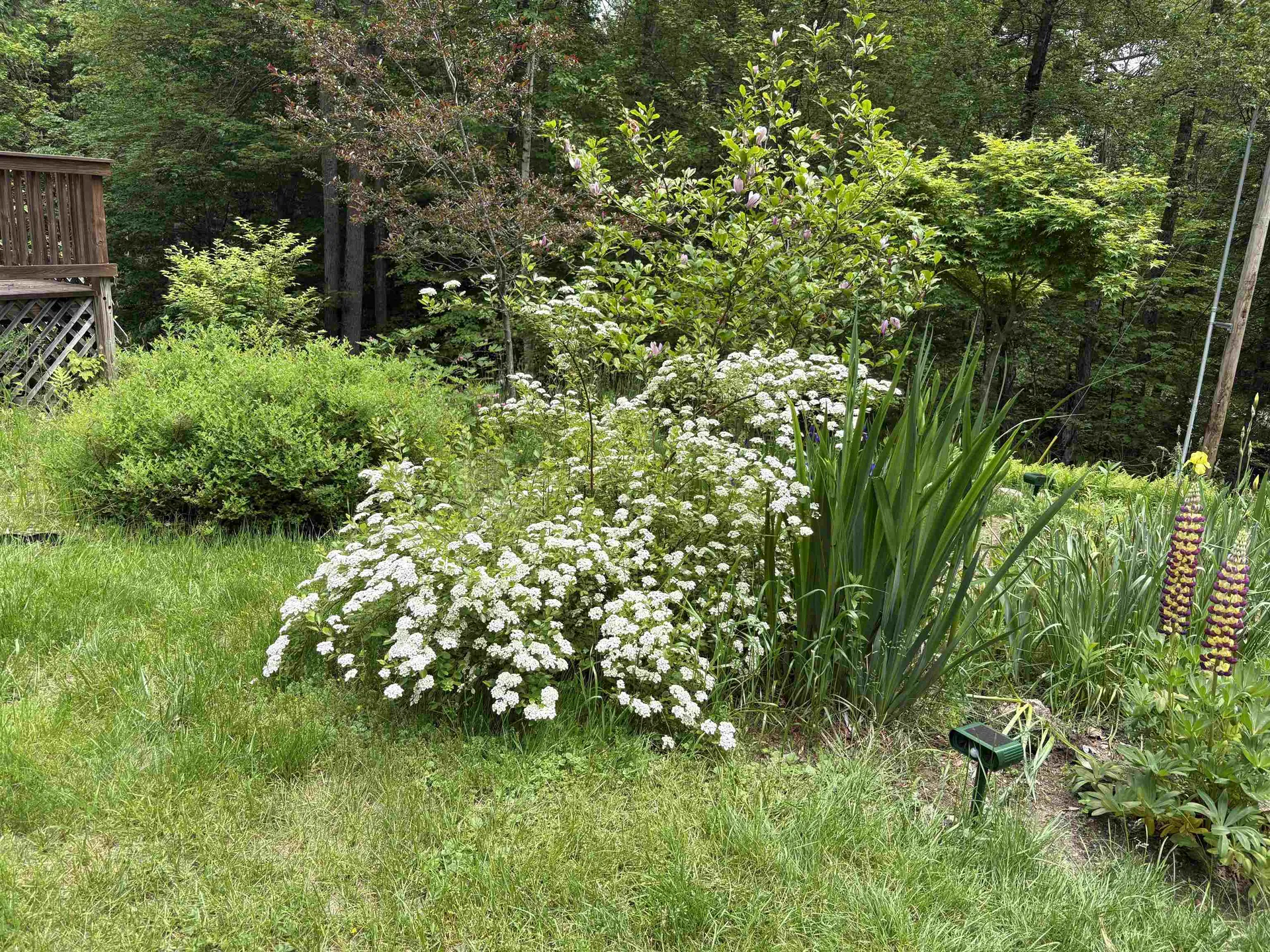 83 Jackson Drive Washington NH 03280