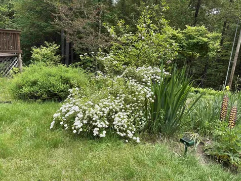 83 Jackson Drive Washington NH 03280