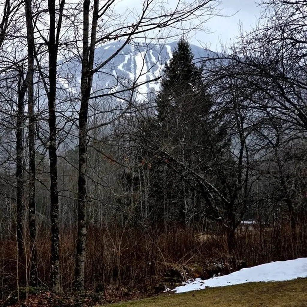 600 White School Road Burke VT 05832