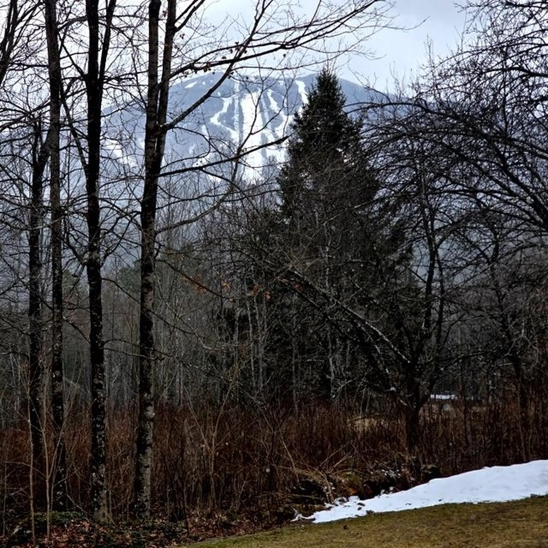 600 White School Road Burke VT 05832