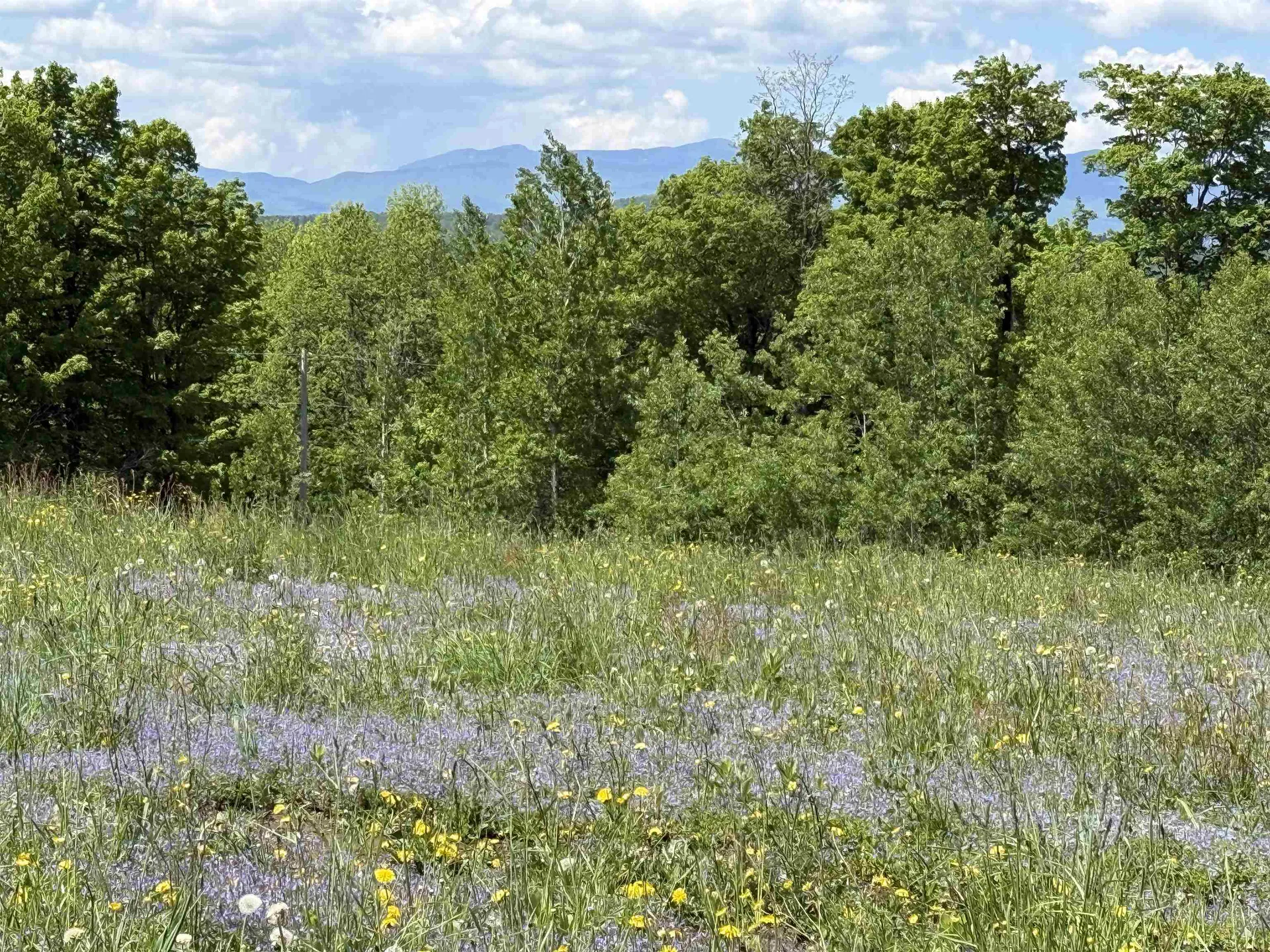 4804 Town Hill Road Wolcott VT 05680