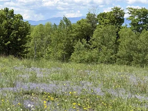 4804 Town Hill Road Wolcott VT 05680