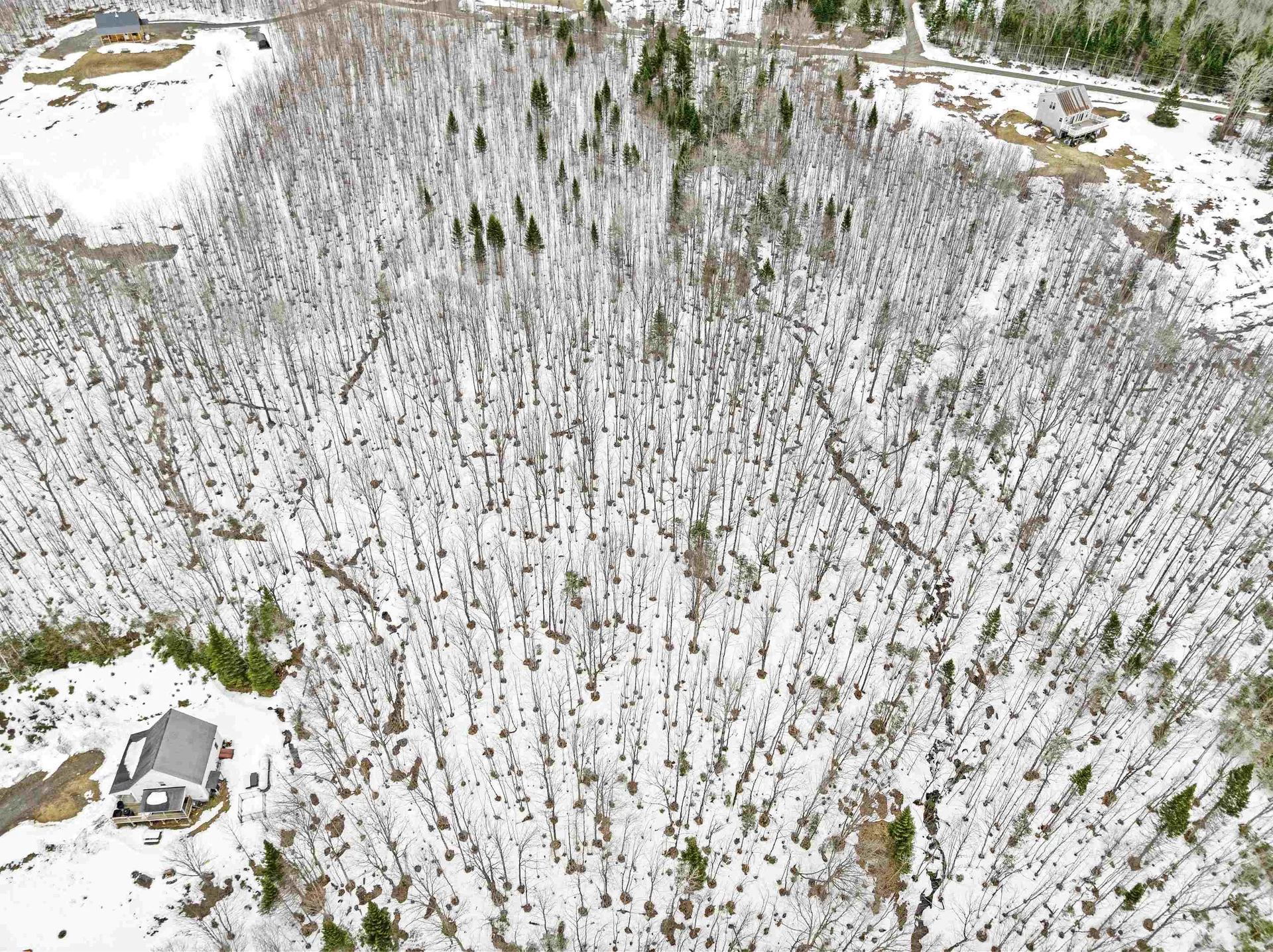 Lot 5 Lonny Demmons Road Pittsburg NH 03592