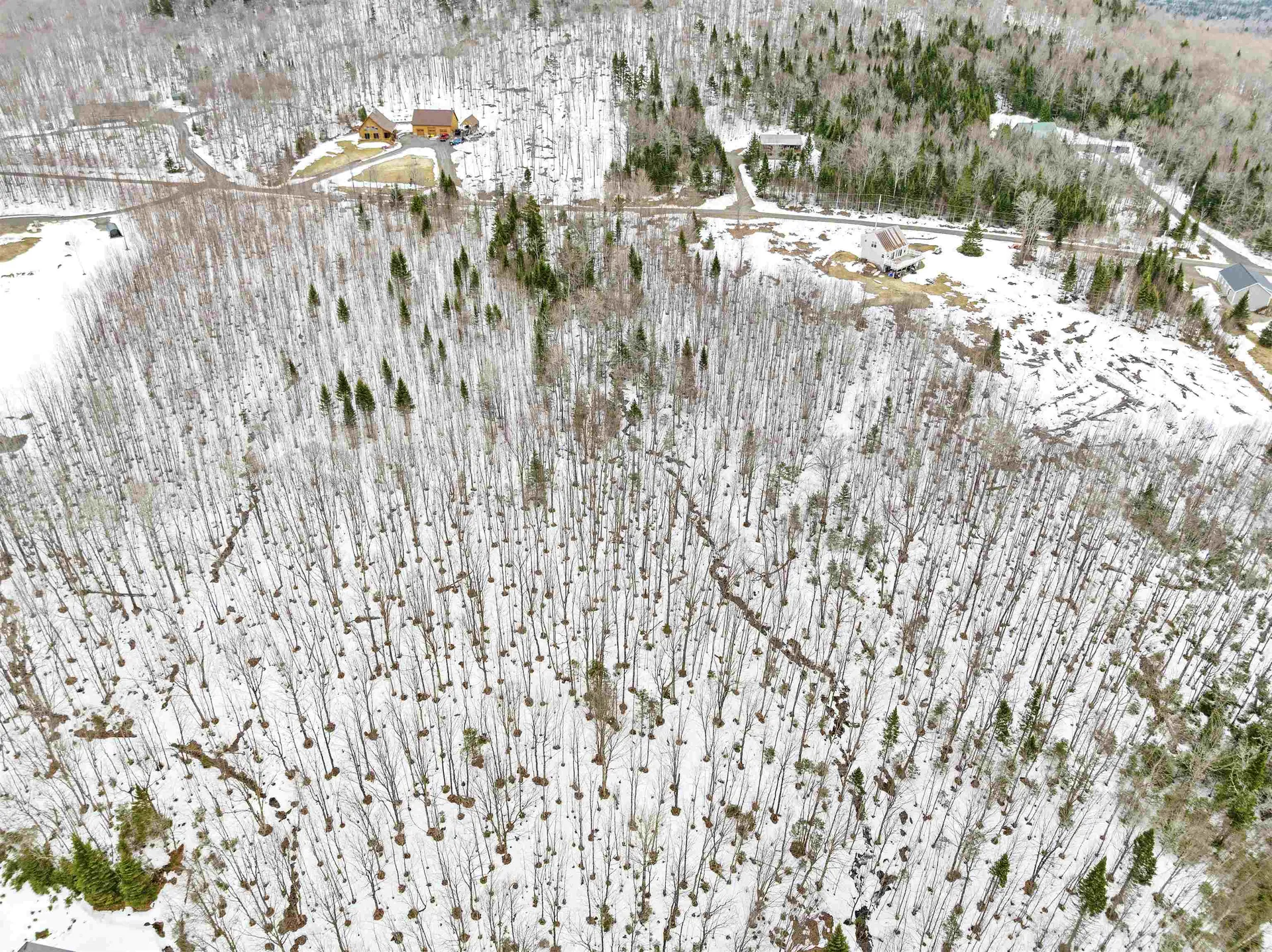 Lot 5 Lonny Demmons Road Pittsburg NH 03592