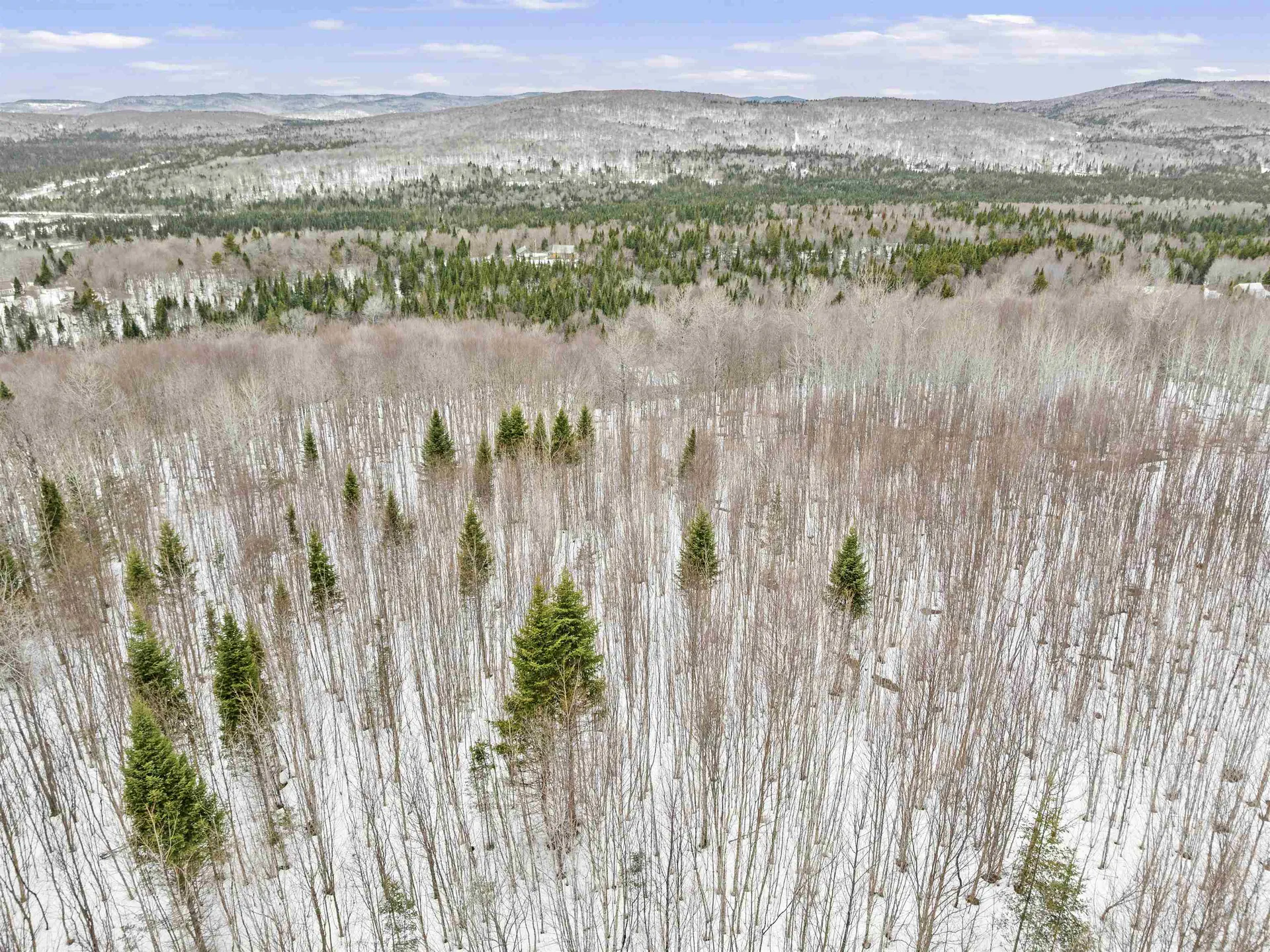 Lot 5 Lonny Demmons Road Pittsburg NH 03592