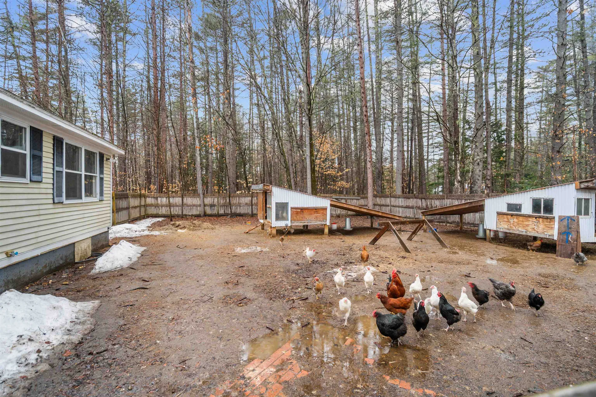 29 Horseshoe Pond Road Andover NH 03216