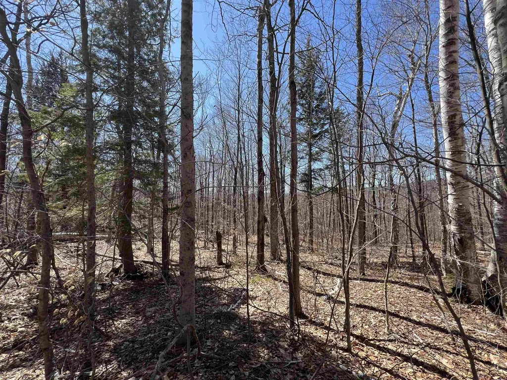 Forrester Road Jamaica VT 05343