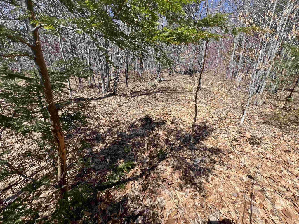 Forrester Road Jamaica VT 05343