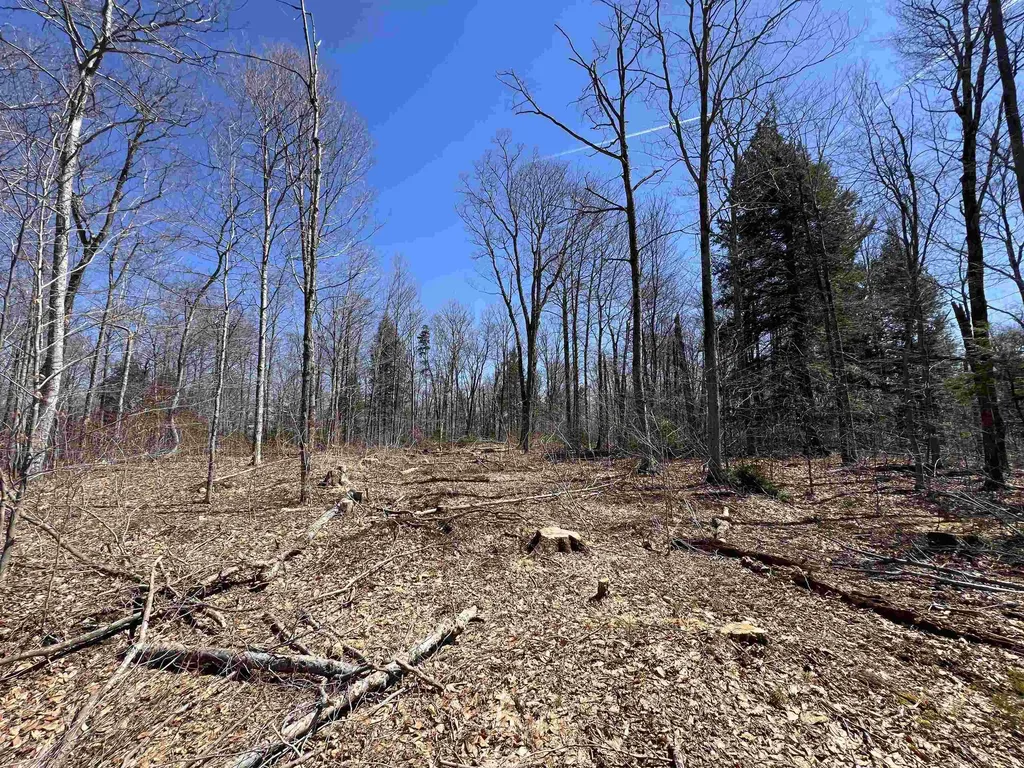 Forrester Road Jamaica VT 05343