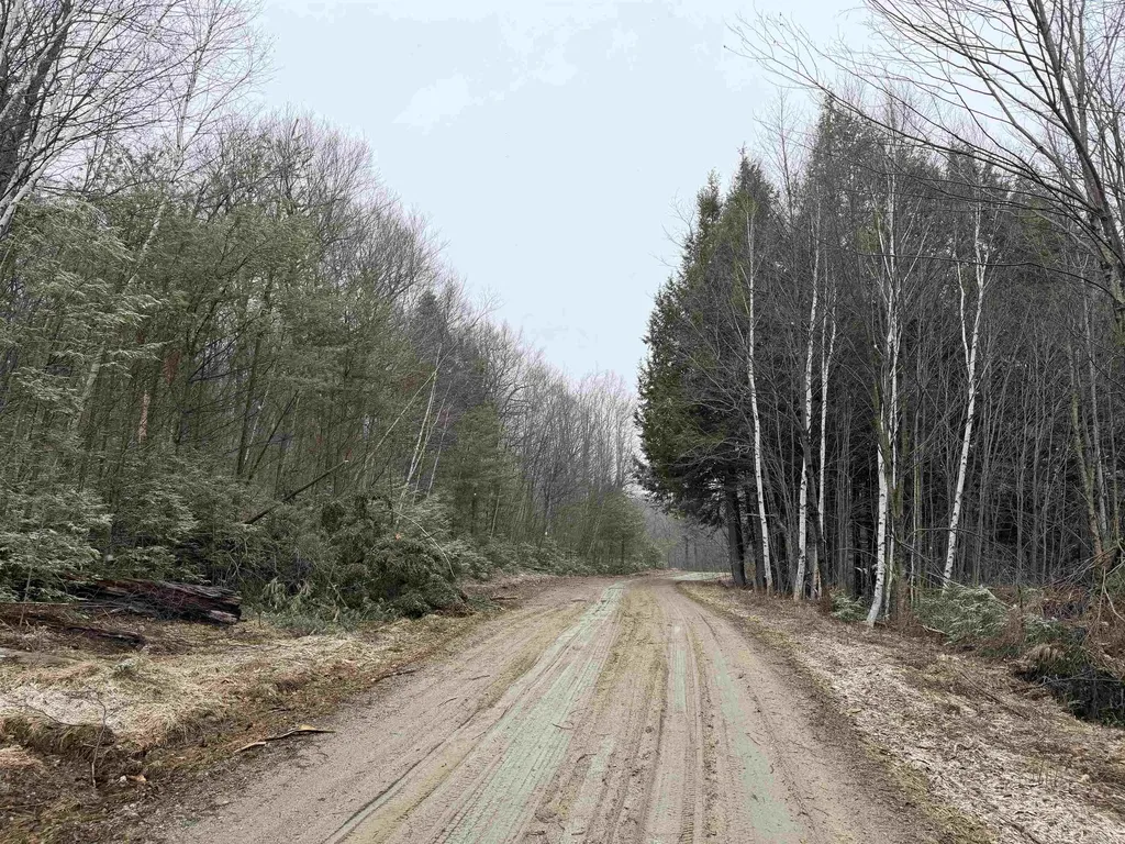 Forrester Road Jamaica VT 05343