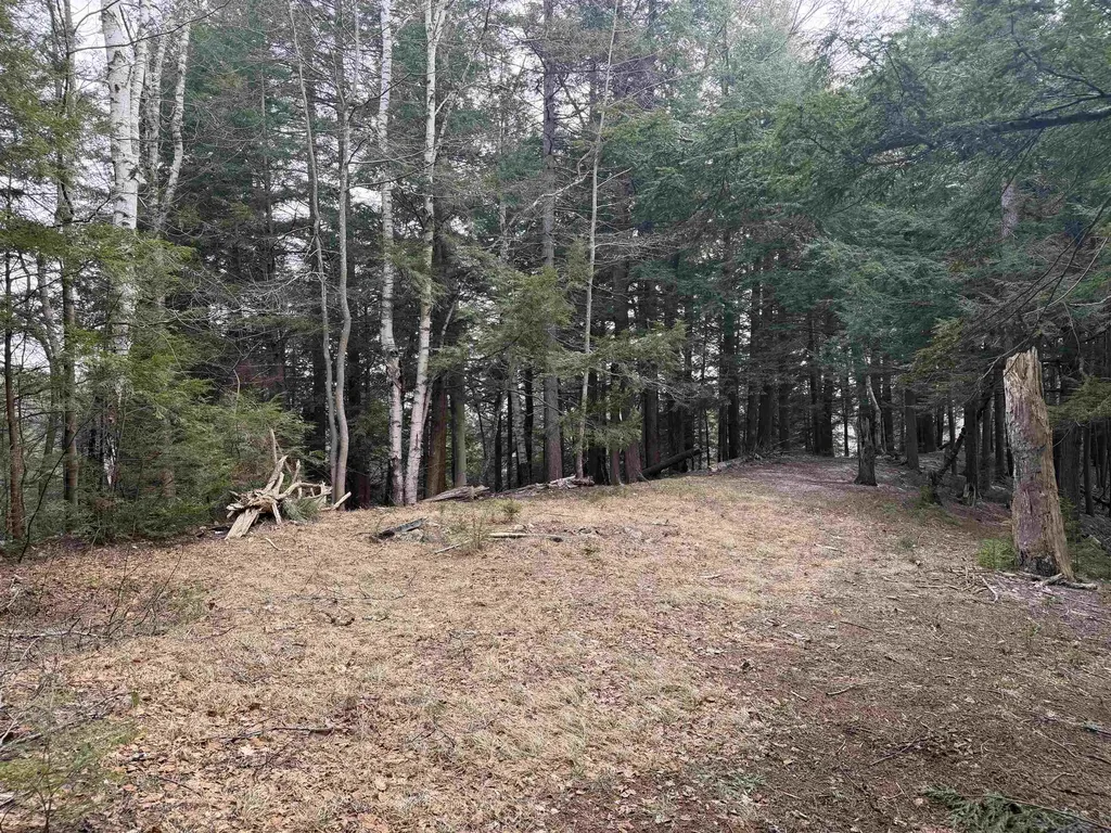 Forrester Road Jamaica VT 05343