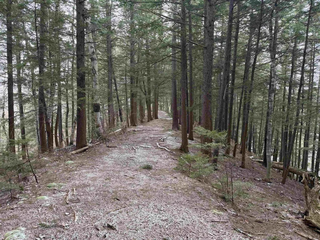 Forrester Road Jamaica VT 05343