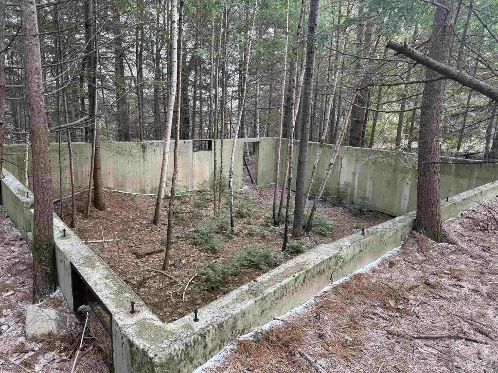 Forrester Road Jamaica VT 05343