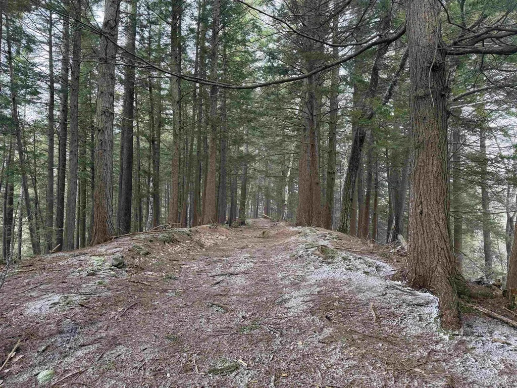 Forrester Road Jamaica VT 05343