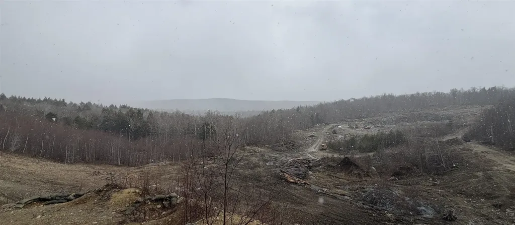 Forrester Road Jamaica VT 05343