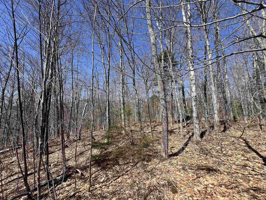 Forrester Road Jamaica VT 05343