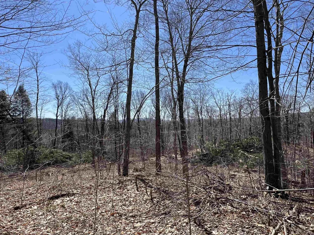 Forrester Road Jamaica VT 05343