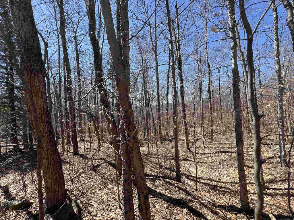 Forrester Road Jamaica VT 05343