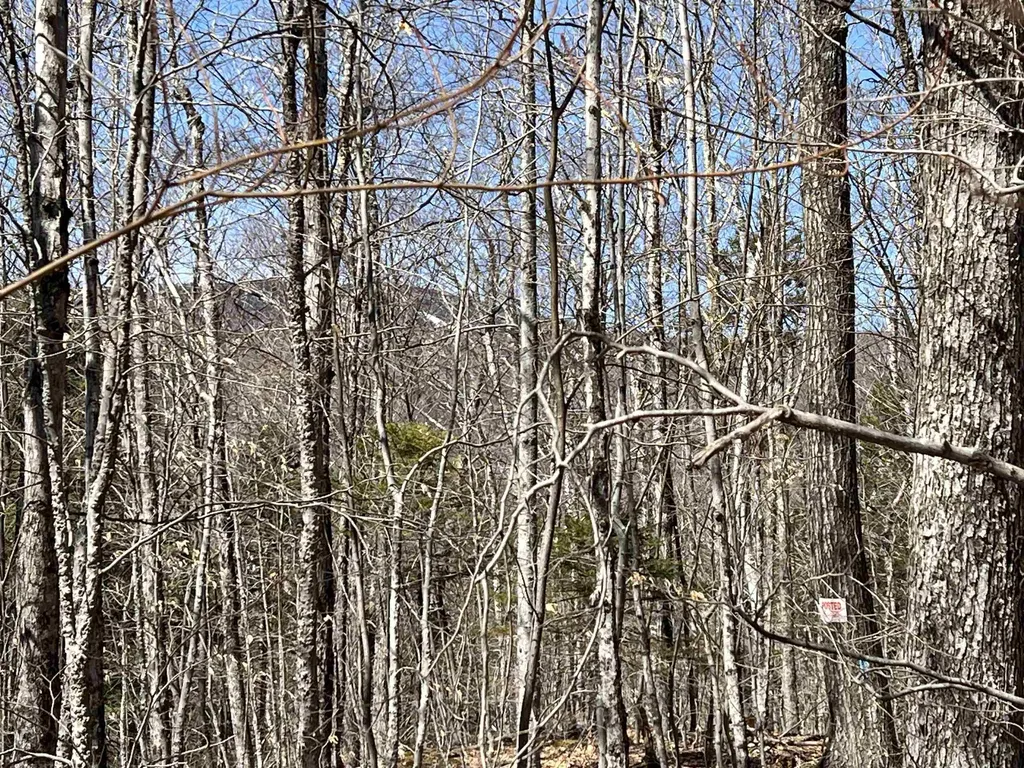 Forrester Road Jamaica VT 05343