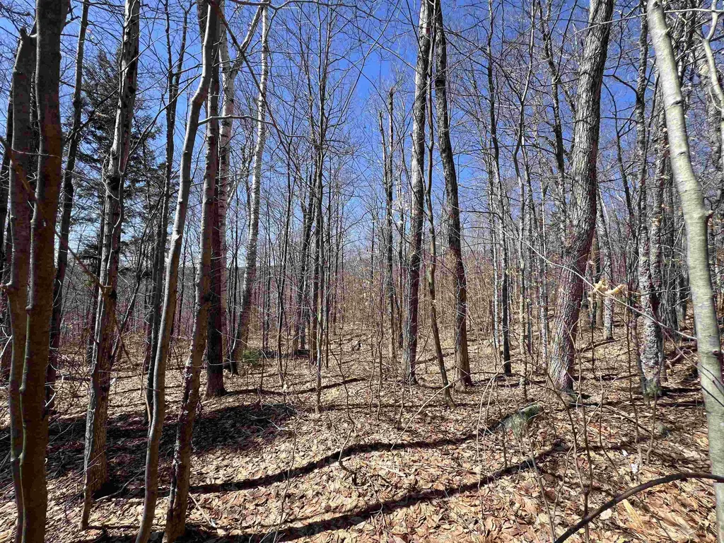 Forrester Road Jamaica VT 05343