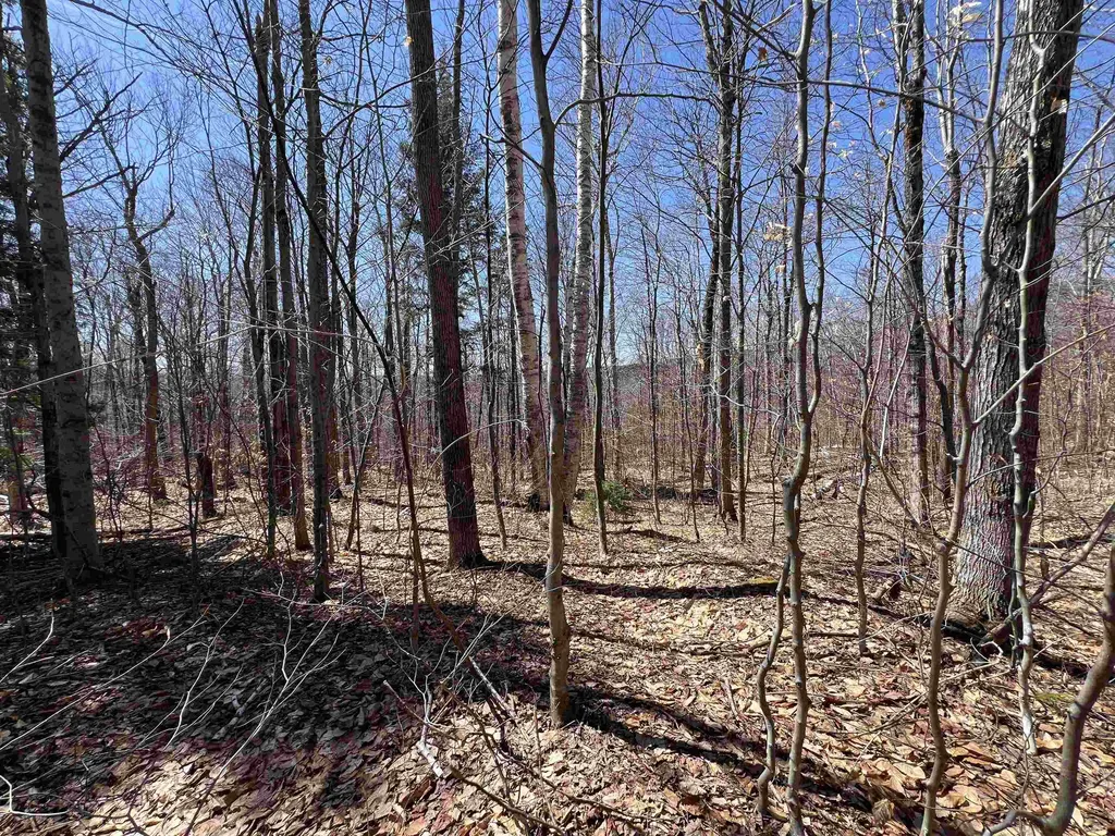 Forrester Road Jamaica VT 05343