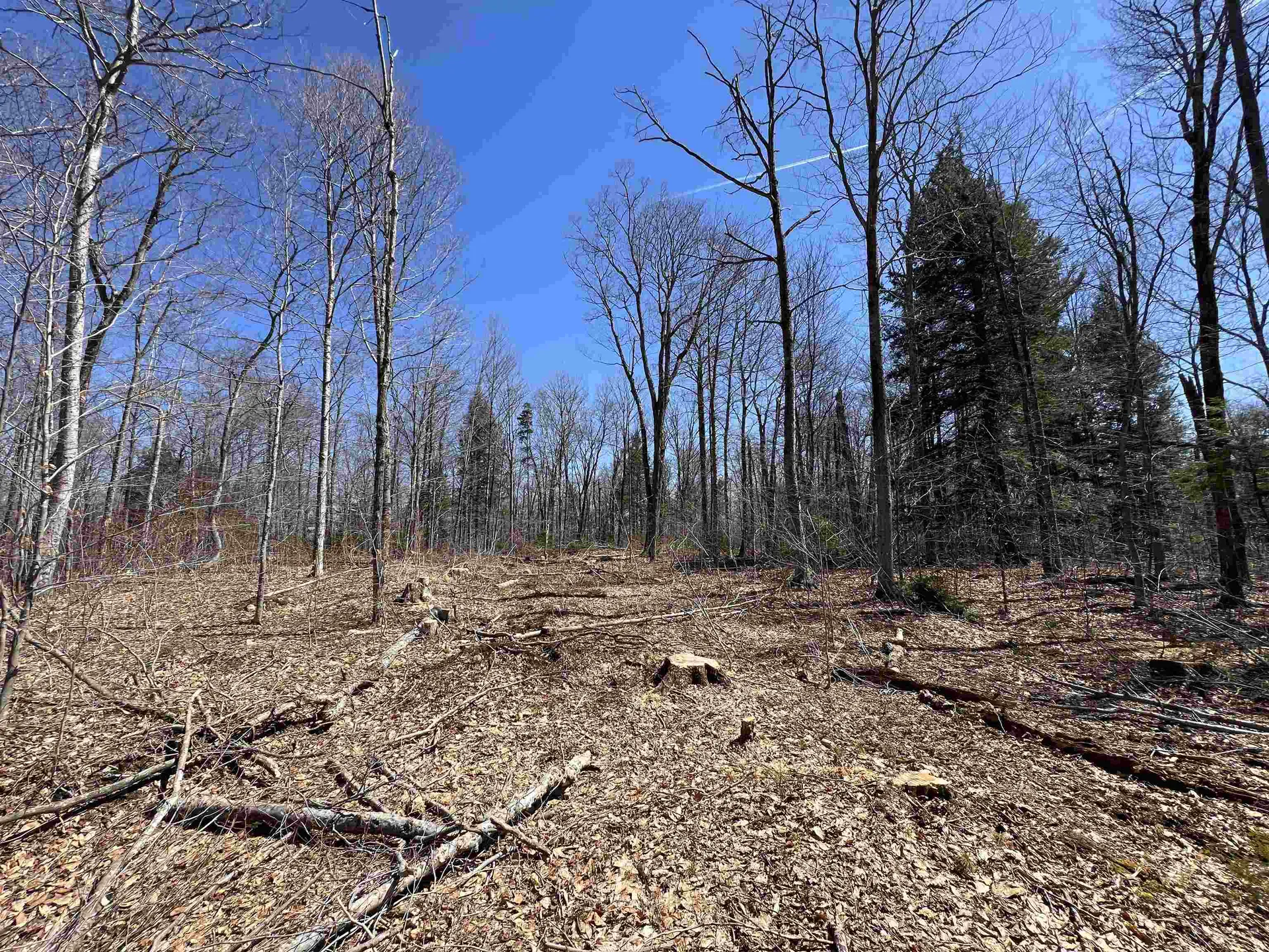 Forrester Road Jamaica VT 05343