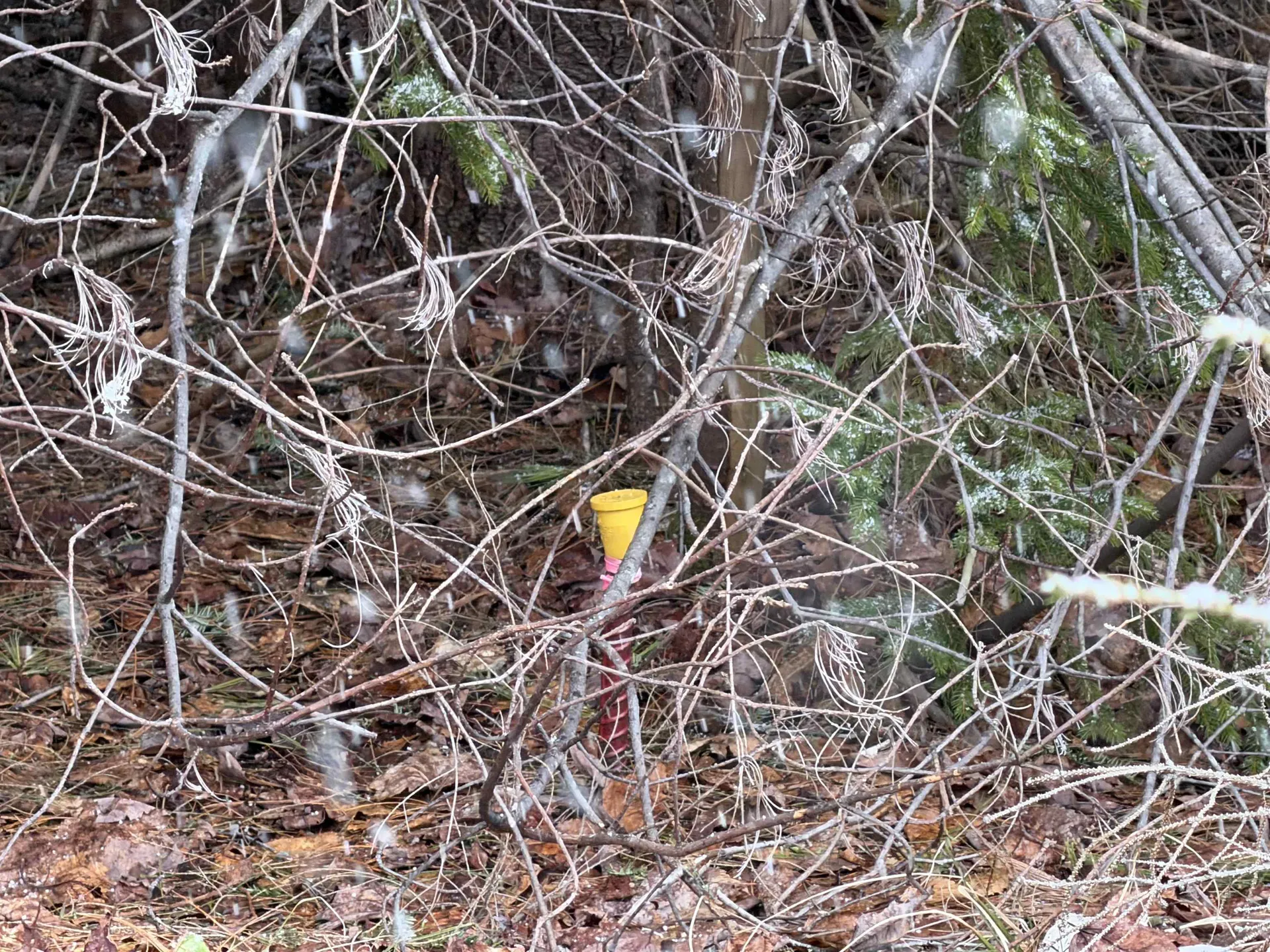 Forrester Road Jamaica VT 05343