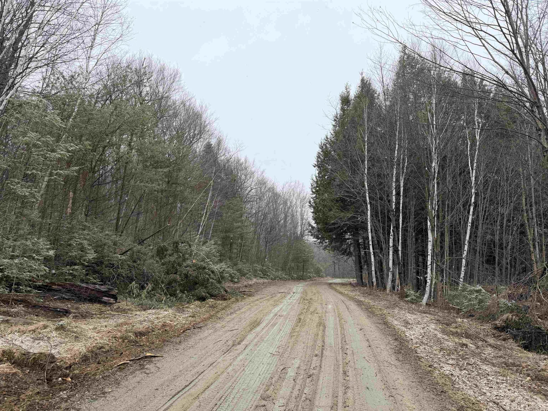 Forrester Road Jamaica VT 05343