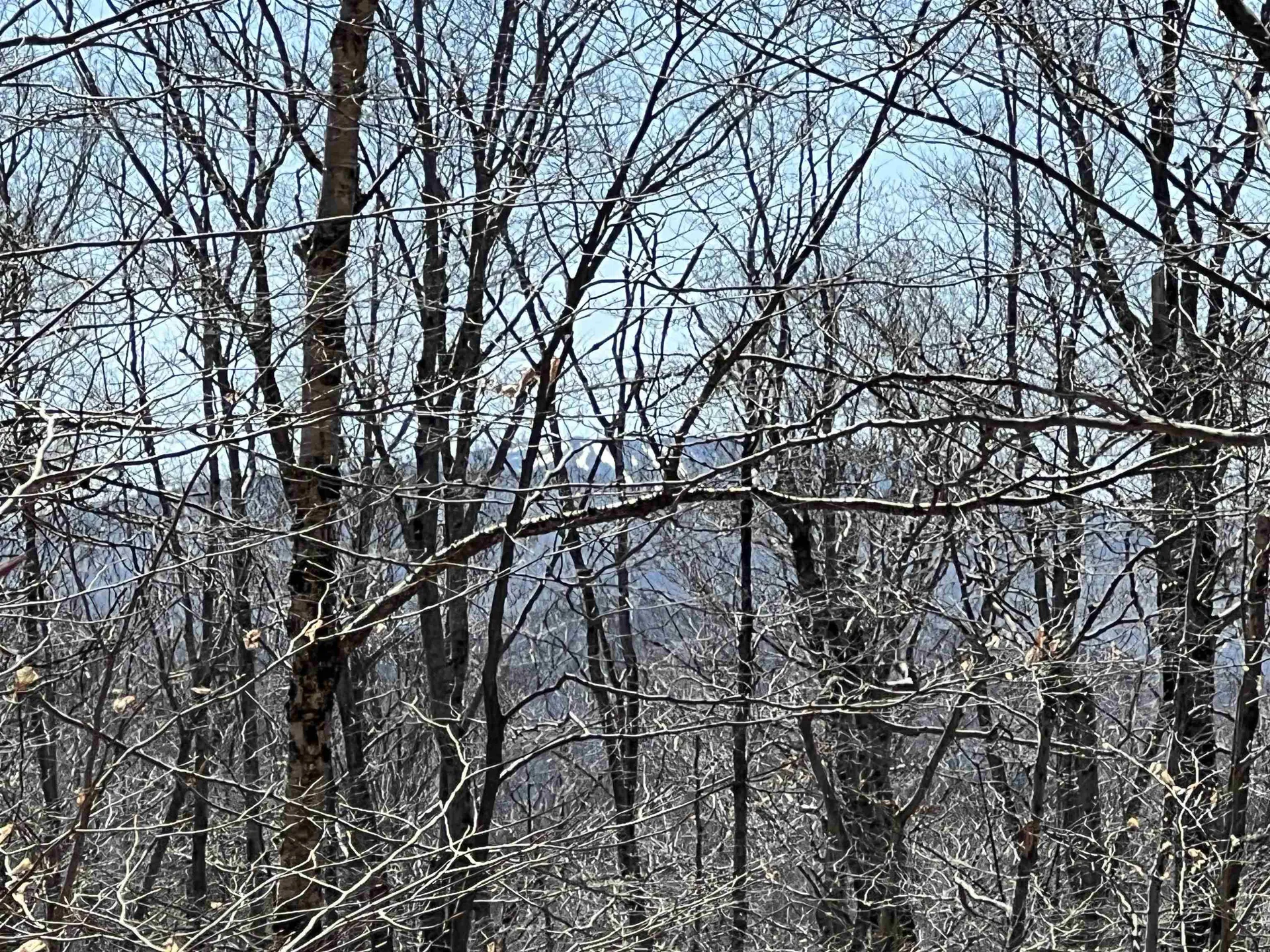 Forrester Road Jamaica VT 05343