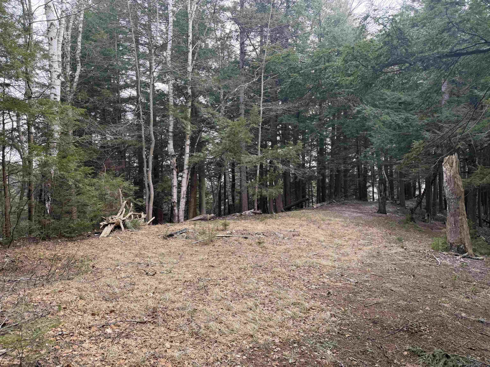 Forrester Road Jamaica VT 05343