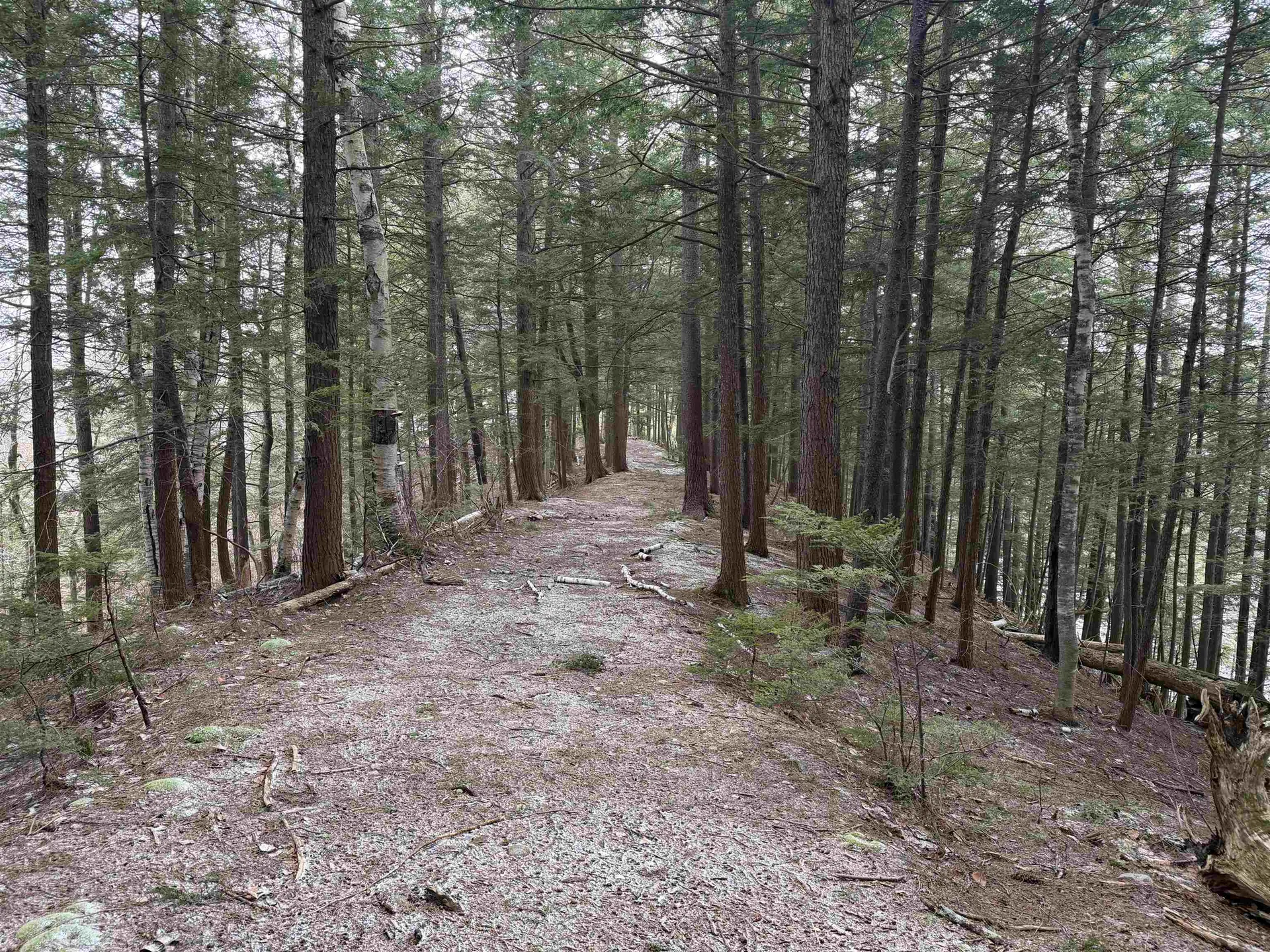 Forrester Road Jamaica VT 05343