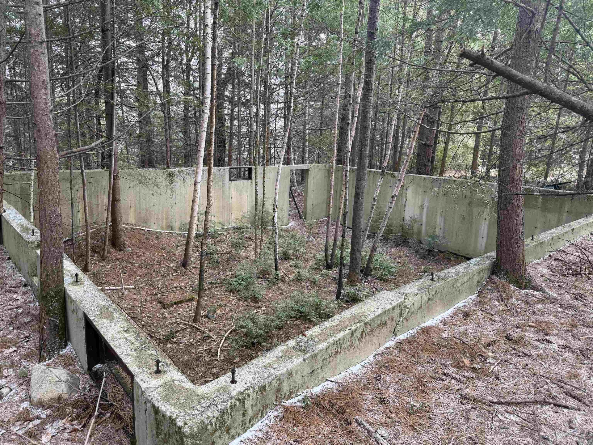 Forrester Road Jamaica VT 05343