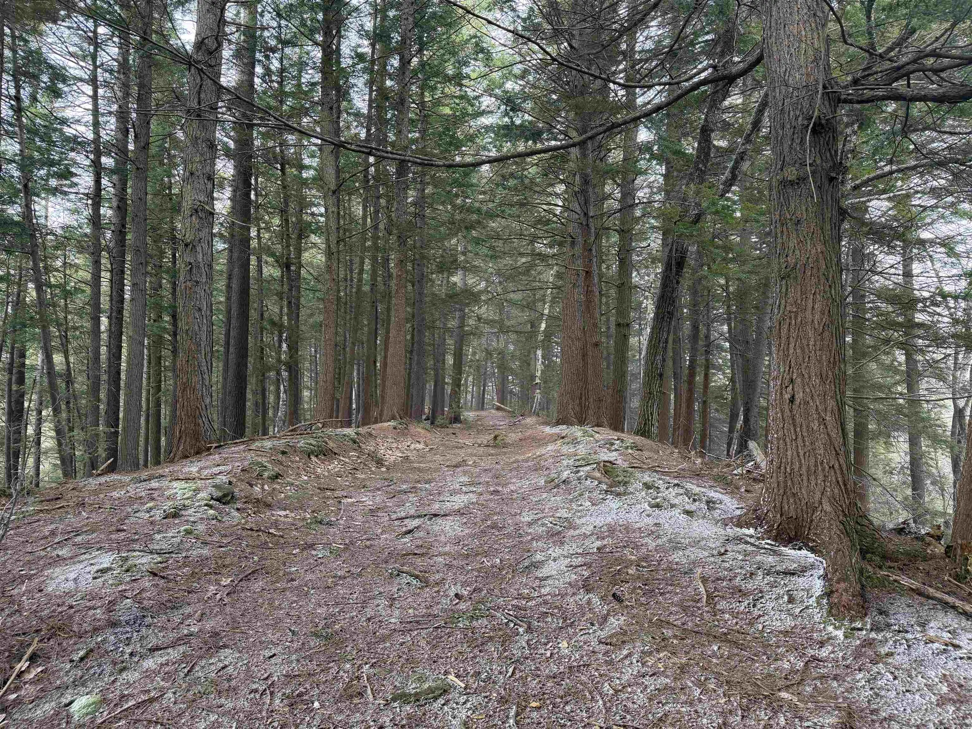 Forrester Road Jamaica VT 05343