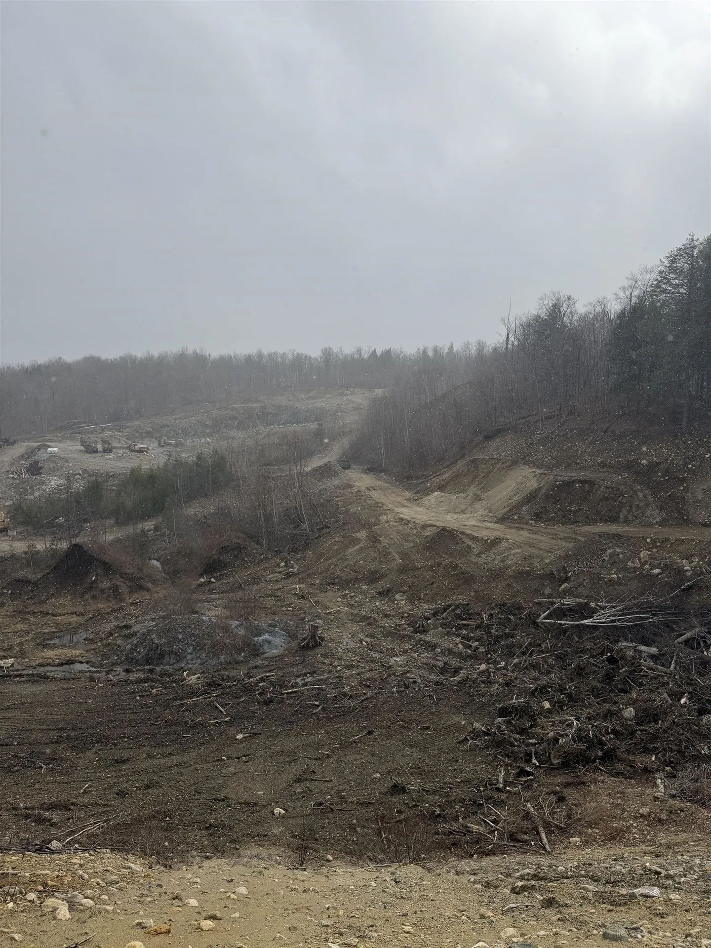 Forrester Road Jamaica VT 05343