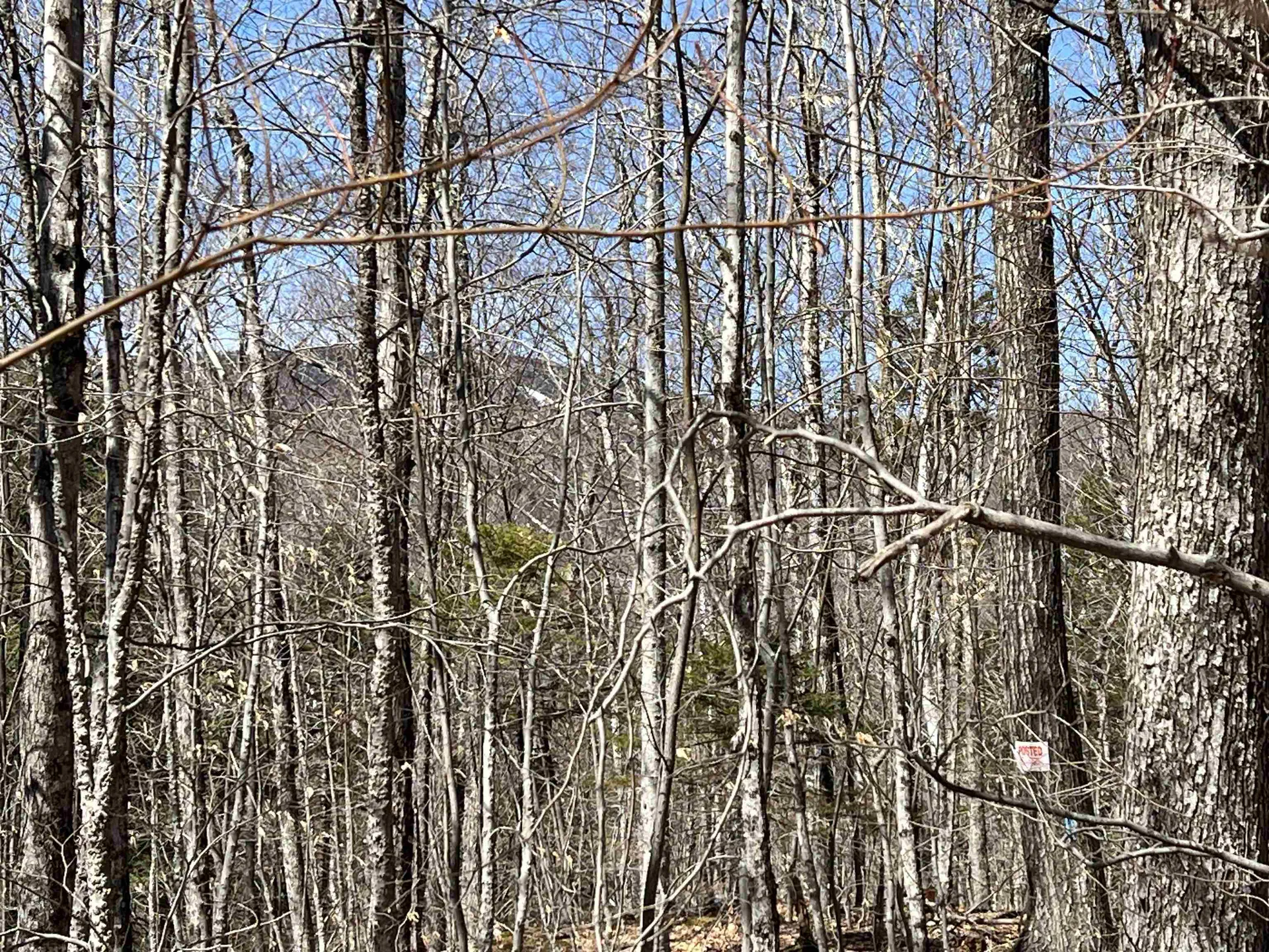 Forrester Road Jamaica VT 05343