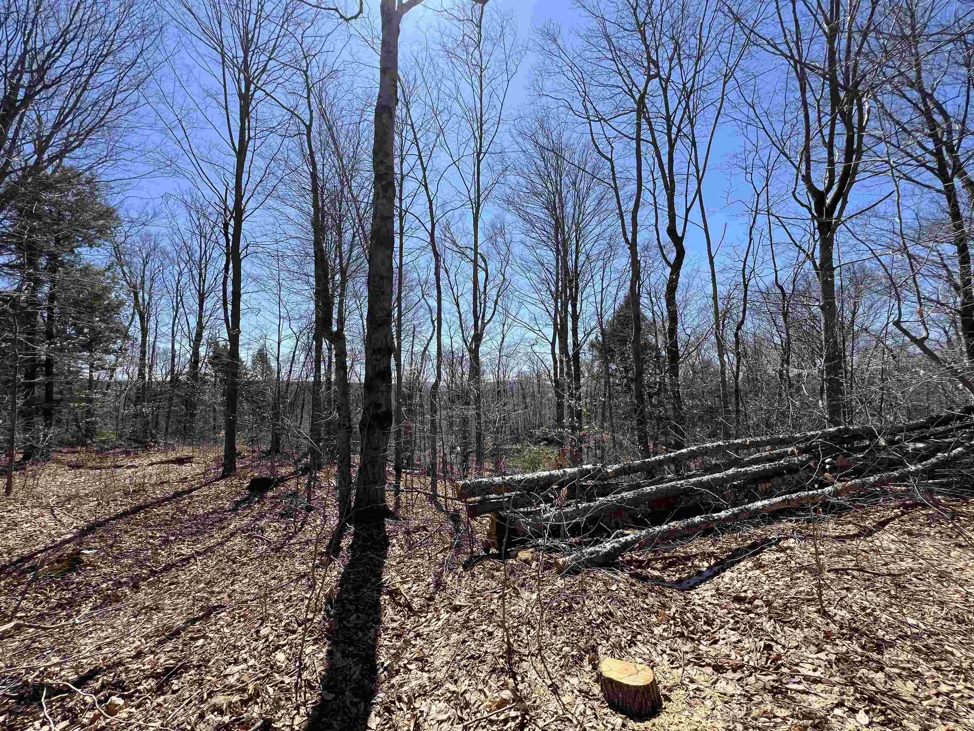 Forrester Road Jamaica VT 05343