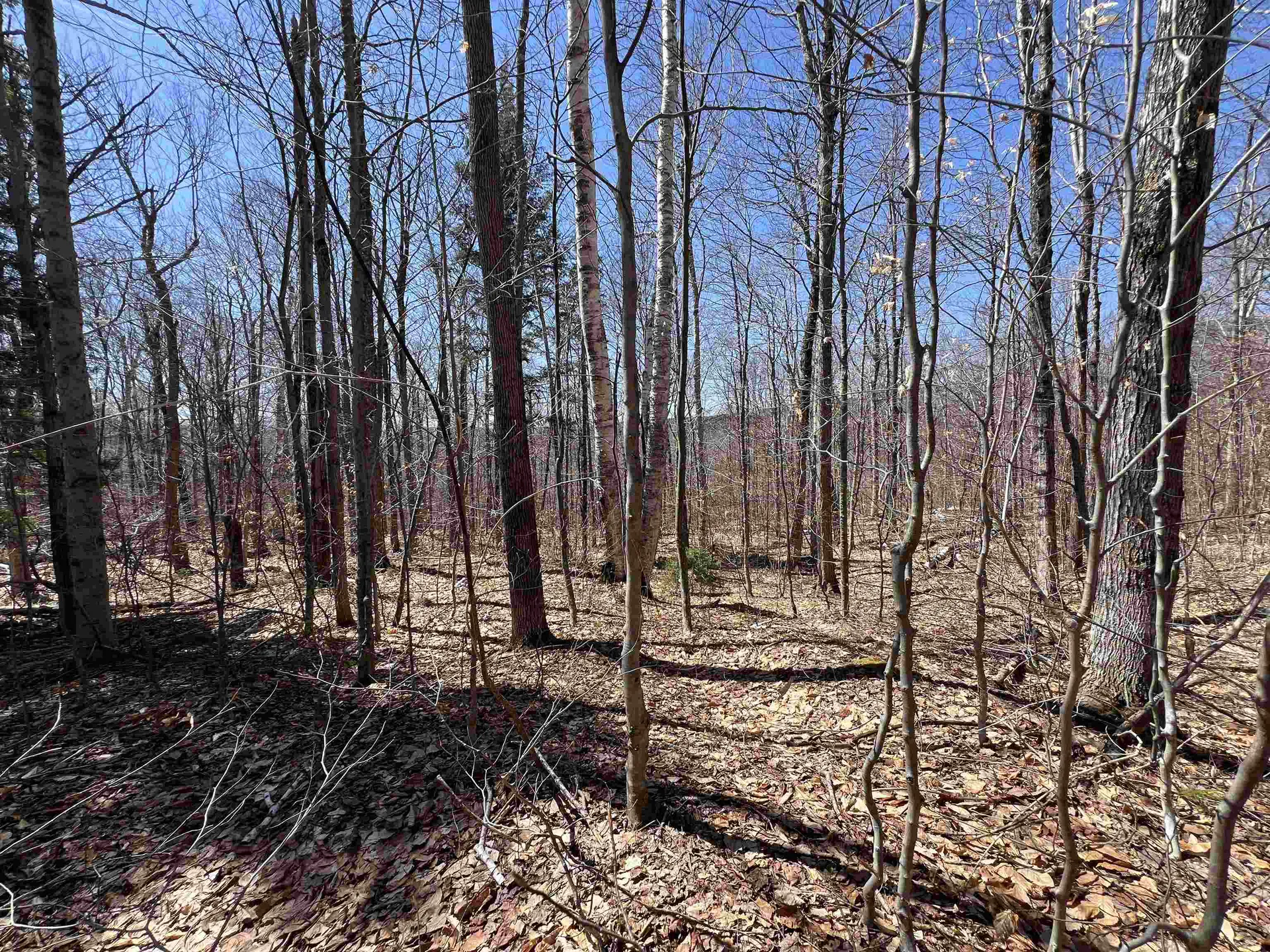 Forrester Road Jamaica VT 05343